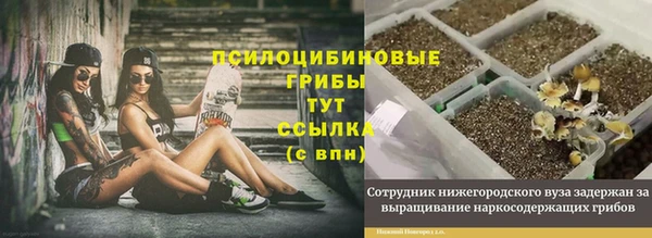 бутират Белокуриха