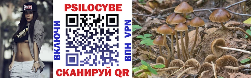 гидра онион  купить   Ярцево  Галлюциногенные грибы Psilocybe 